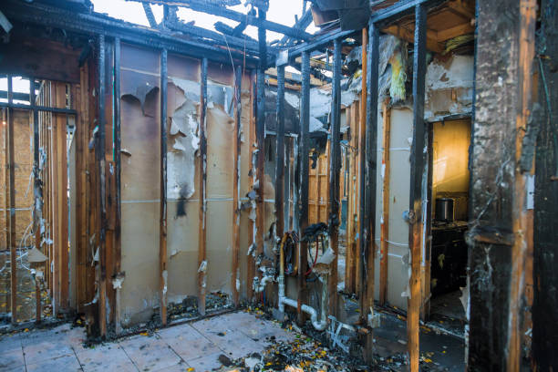 Professional Fire Damage Removal technician working in Dodge Center, MN